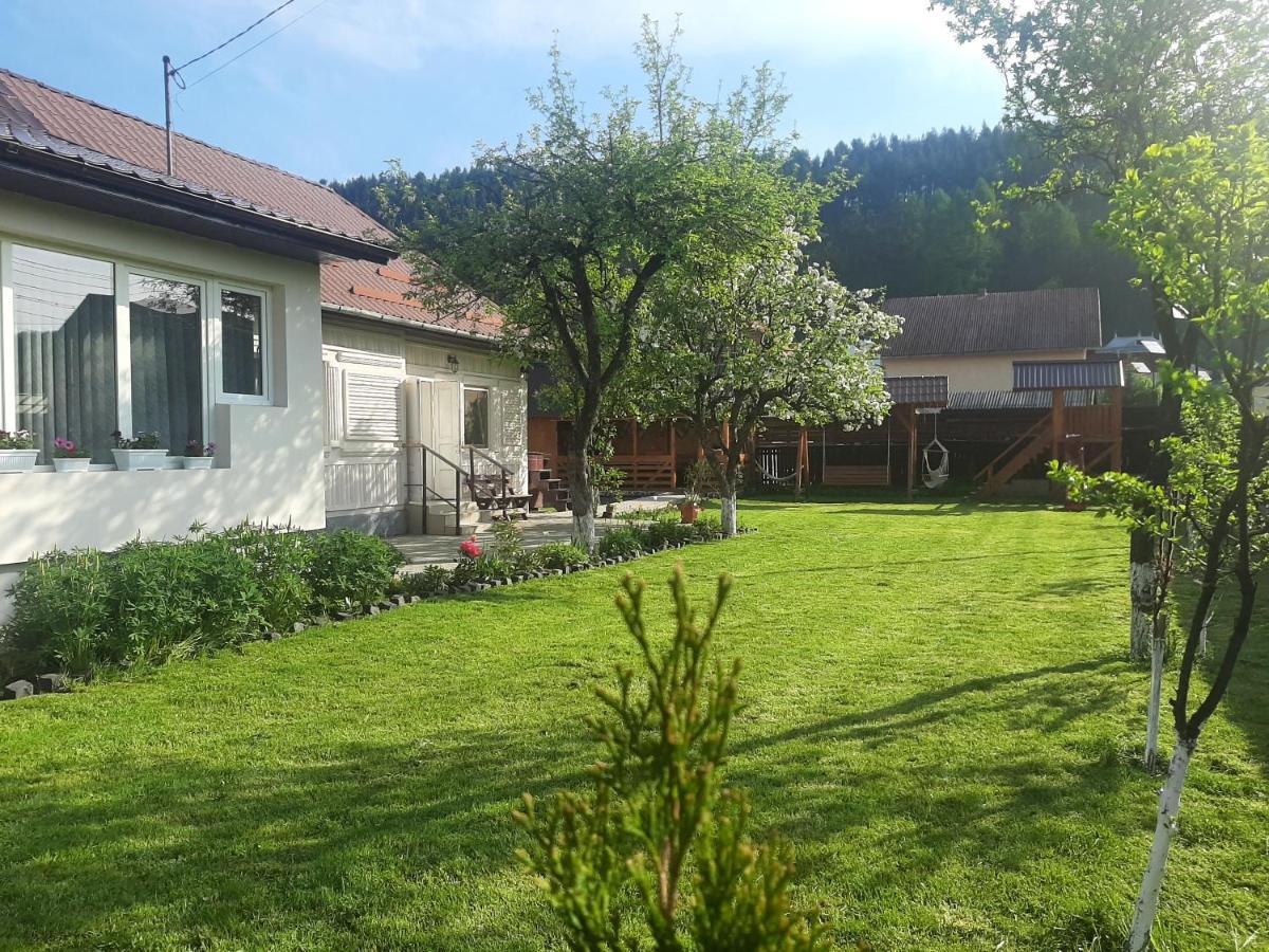 Pensiunea Cristina Toplita  Exterior photo
